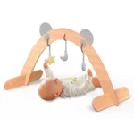 Babygym - Activity - Panda