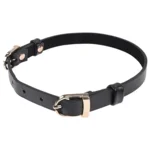 Sportsheets Sex & Mischief Double Buckle Day Collar