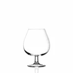 Cognacglas groot 67 cl Invino 6 stuks