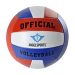 Bal - Volleyball - Officiele maat - RWB