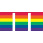 Regenboog Vlaggenlijn Vierkant - 10 meter