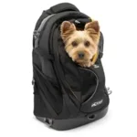 Kurgo G-Train Rugzak Zwart 41,3X22,9X50,2 cm