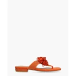 Ella Cruz Zhoe Oranje Damesslippers