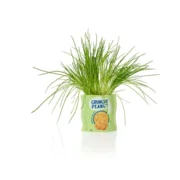 Bitten Design Bloempot Snack Schaal Chips Zak Keramiek