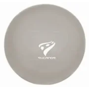 Rucanor Fitness Gym Ball 65 Silver