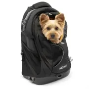 Kurgo G-Train Rugzak Zwart 41,3X22,9X50,2 cm