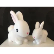 Set-van-2-konijntjes