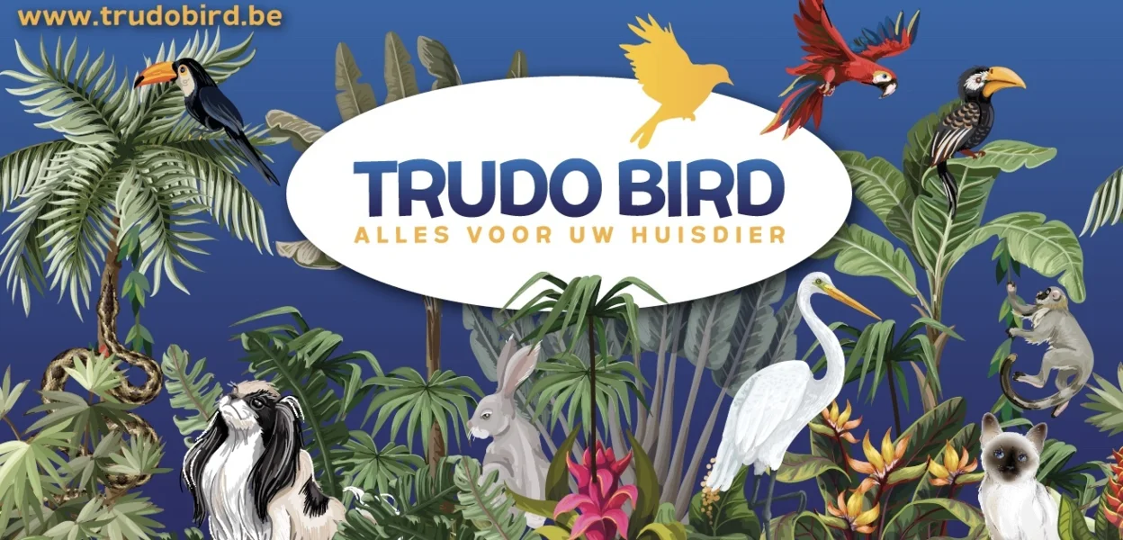 Header Trudobird in Sint-Truiden