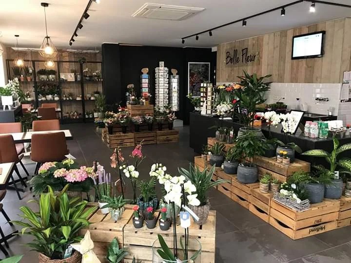 Header Belle Fleur Florista Barista in Diest