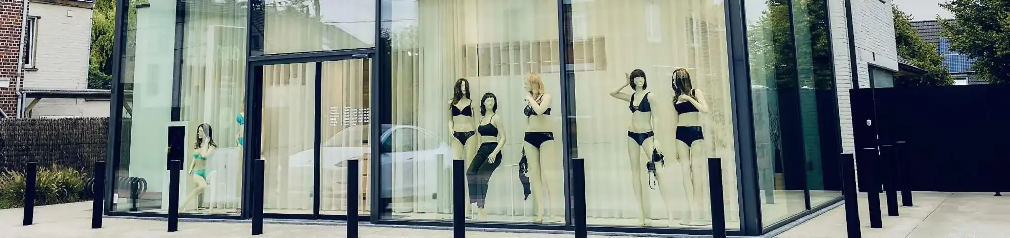 Header Olijf in Rumbeke