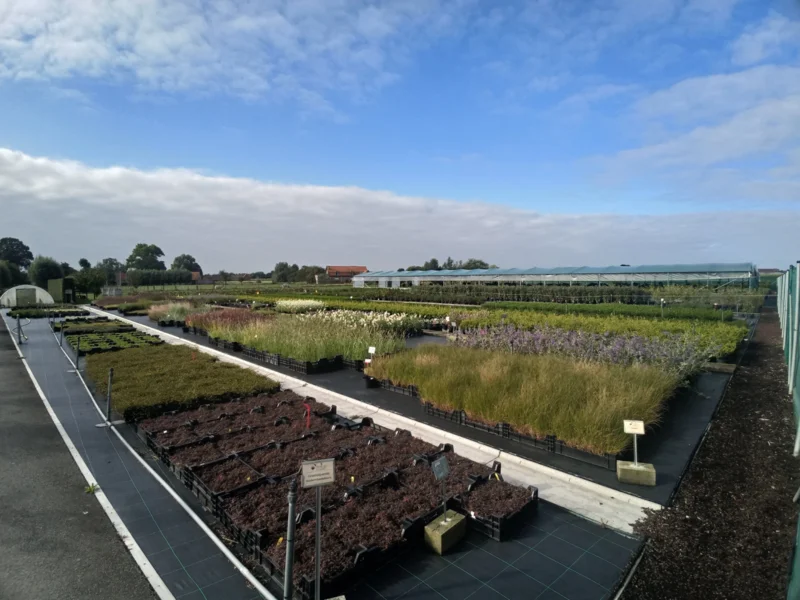 Header Boomkwekerij Puur van’t veld in Oostnieuwkerke