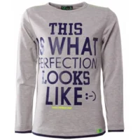 shirt Perfection grey