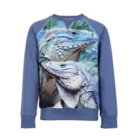 Wild Kidswear Jongens Sweater Jake Iguana