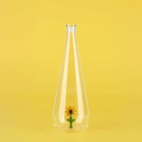 Balvi Waterfles Karaf Zonnebloem 1L glas
