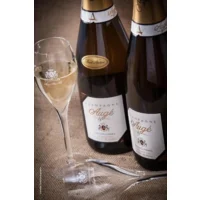 Augé-Champagne Vieilles Vignes- Brut Nature