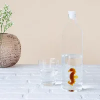 Waterfles Karaf Zeepaard 1.2L Glas BALVI