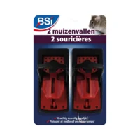 muizenval/2  bsi