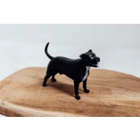 3D Print van je huisdier