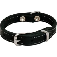 Vetleder halsband zwart 'Jack and Vanilla' 16 mm x 40 cm – halsomvang: 30-33 cm