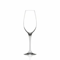 Champagneflute Invino 6 stuks Champagneglas