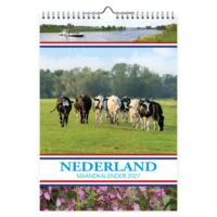 Maand kalender - 2027 - Koeien - 23,5x33,5cm