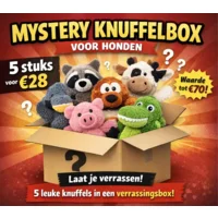 Mystery Knuffelbox – 5 hondenspeeltjes voor €28