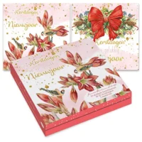 Kaarten - Kerst - Janneke Brinkman - Amaryllis & strik - 10st.