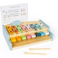 Xylopiano - Xylofoon en piano in 1 - Met bladmuziek en stokjes