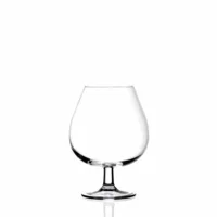 Cognacglas groot 67 cl Invino 6 stuks