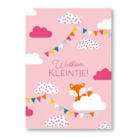 Kaart - Welkom kleintje! Meisje - ME - LGE.0013 - 16x22cm