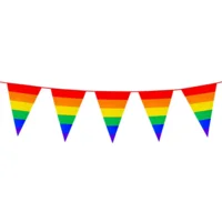 Regenboog Slingers 8 Meter – Kleurrijke Decoratie voor Feest, Pride of Festival