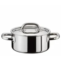 Spring Complete Lage Kookpot 24 Ø Met Inox Deksel