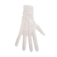 Handschoenen - Wit - Sinterklaas - XL