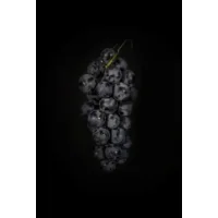 Proefpakket 2 - ROOD