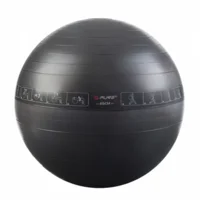Pure Fitness Gym Ball 65 Black