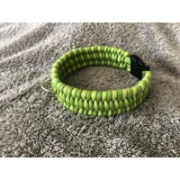 Hondenhalsband Trilobite Green 1