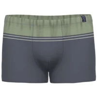 Ammann Heren boxershort: Groen / blauw, Korte bil ( AMM.468 )
