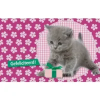 Leuke kaartjes: Wenskaart: Gefeliciteerd! LK097