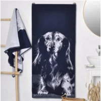 Teckel badhanddoek langharige teckel