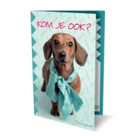 Uitnodigingskaarten - Tekkel - 6st.