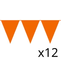 Set - Vlaggenlijnen - Oranje - 12 x 10m