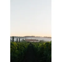 Proefpakket 5 - ROMANIA