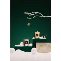 Baobab geurkaarsen duo aurum-platinum max 8.5