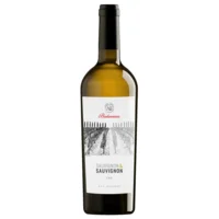 Sauvignon & Sauvignon