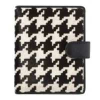 Succes organiser DION junior