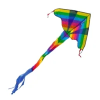 Vlieger - Gekleurde draak - 102x57cm - Eenlijns