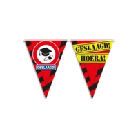 Vlaggenlijn Hoera Geslaagd |10 Meter