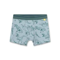 Sanetta boxer Jongens: Dino ( SAN.27 )