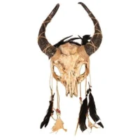 Vodoo masker schedel