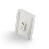 Bluesound BP 100 Battery Pack Wit